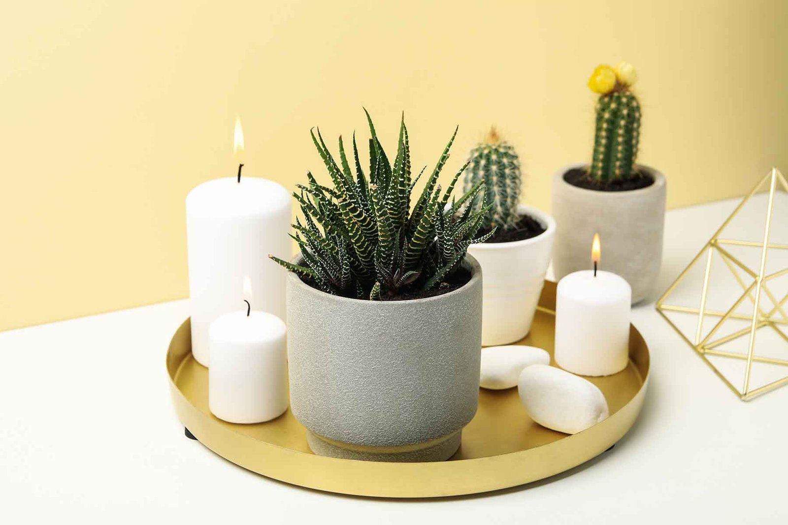 succulent plants and candles on white table housep USUPWU6 2 1
